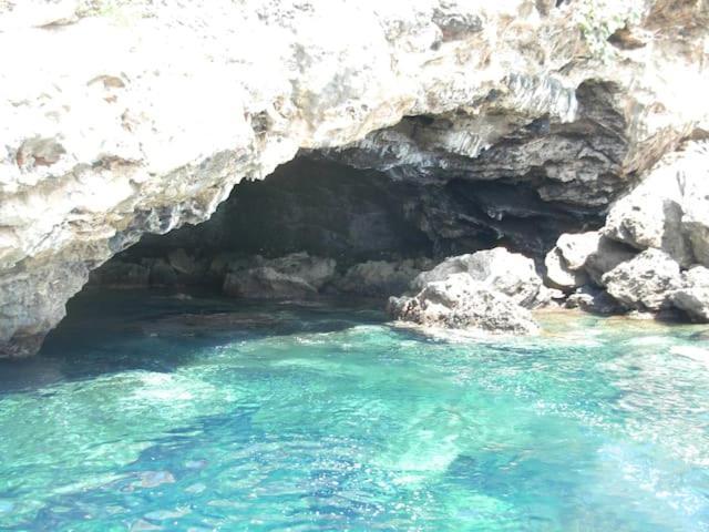 Appartamento Al Centro Di Ustica Isola di Ustica Eksteriør bilde